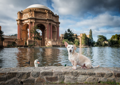 San Francisco