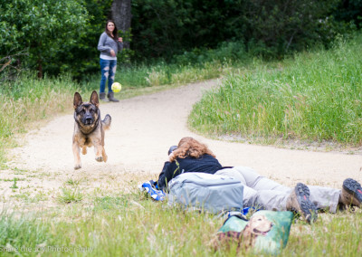 Pet photography mentoring
